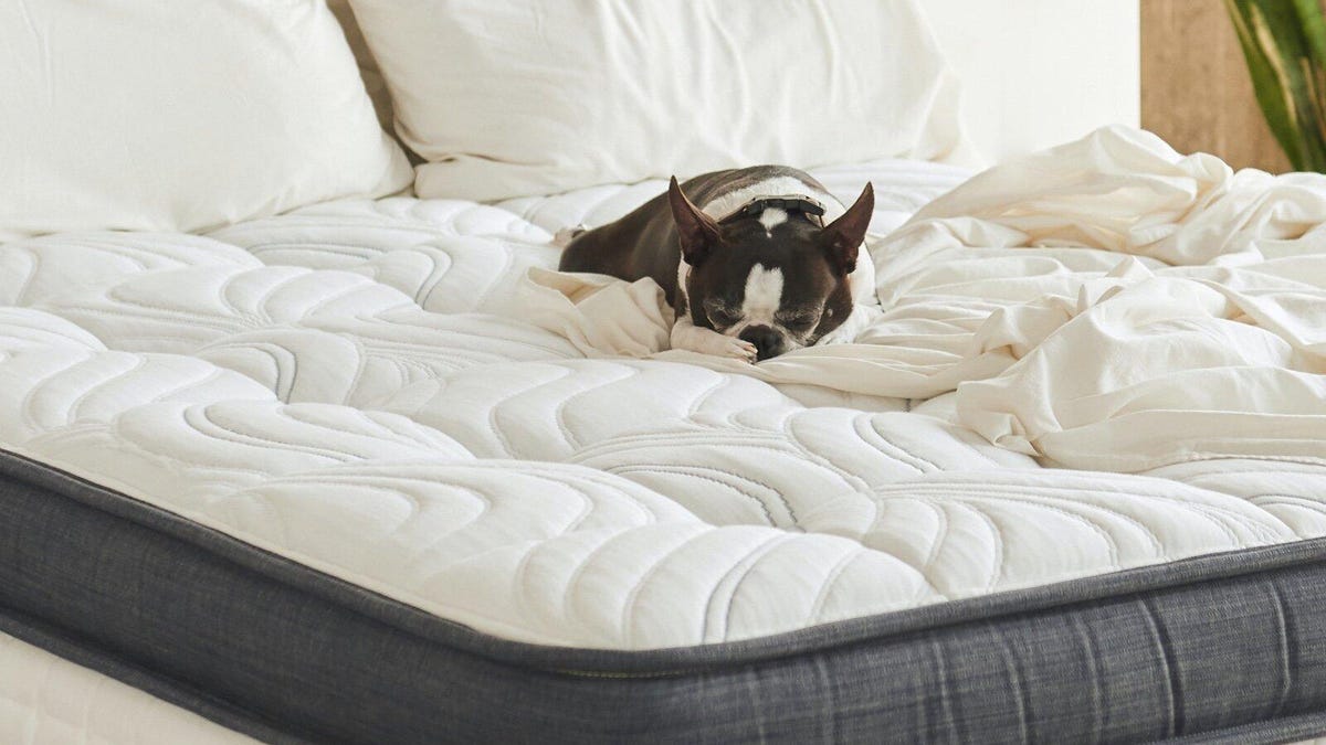 بهترین تشک ژل برای سال 2023