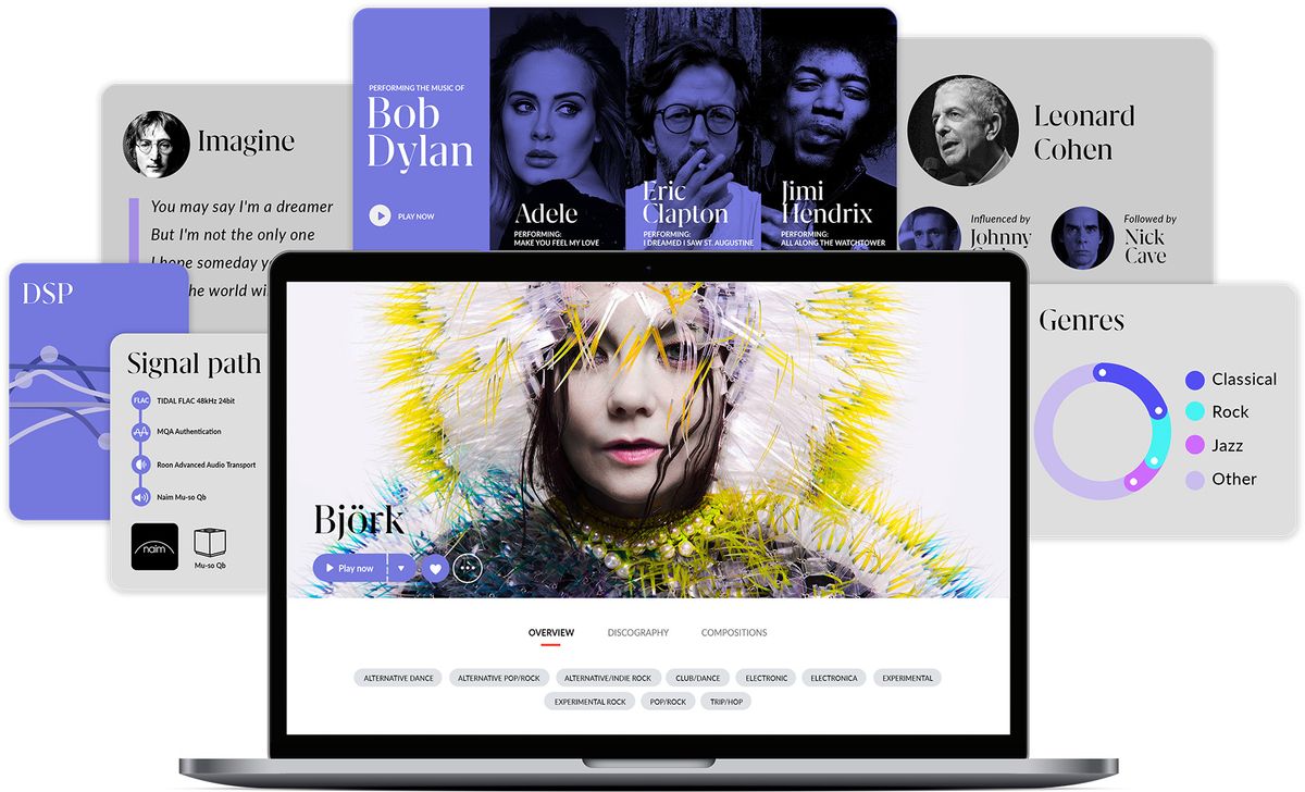 رابط Roon در صفحه نمایش دستگاه های مختلف نشان داده شده است